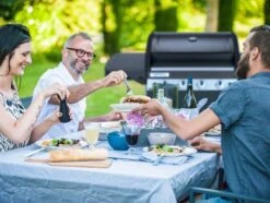 Campingaz 4 Series Classic LS Plus BBQ -Kampa Camping Shop 4 series ls classic 3